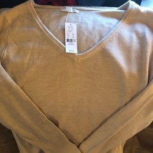 NWT long sleeve light knit fitted sweater